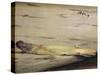 Asparagus (L'Asperge)-Edouard Manet-Stretched Canvas