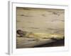 Asparagus (L'Asperge)-Edouard Manet-Framed Art Print