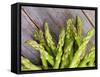 Asparagus Sprouts-zhekos-Framed Stretched Canvas