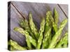 Asparagus Sprouts-zhekos-Stretched Canvas