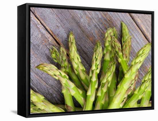 Asparagus Sprouts-zhekos-Framed Stretched Canvas