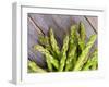 Asparagus Sprouts-zhekos-Framed Photographic Print