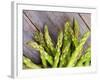 Asparagus Sprouts-zhekos-Framed Photographic Print