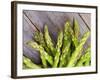 Asparagus Sprouts-zhekos-Framed Photographic Print