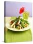 Asparagus with Mangetouts and Pork Fillet Medallions-Jan-peter Westermann-Stretched Canvas