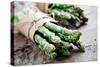 Asparagus-Molka-Stretched Canvas