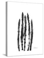 Asparagus-Albert Koetsier-Stretched Canvas