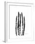 Asparagus-Albert Koetsier-Framed Premium Giclee Print