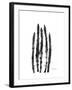 Asparagus-Albert Koetsier-Framed Premium Giclee Print