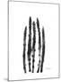 Asparagus-Albert Koetsier-Mounted Premium Giclee Print