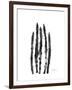 Asparagus-Albert Koetsier-Framed Premium Giclee Print