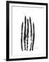 Asparagus-Albert Koetsier-Framed Premium Giclee Print