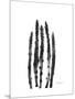 Asparagus-Albert Koetsier-Mounted Premium Giclee Print