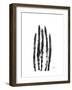 Asparagus-Albert Koetsier-Framed Premium Giclee Print