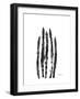 Asparagus-Albert Koetsier-Framed Premium Giclee Print