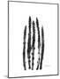 Asparagus-Albert Koetsier-Mounted Premium Giclee Print