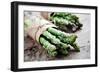 Asparagus-Molka-Framed Photographic Print