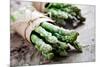 Asparagus-Molka-Mounted Photographic Print