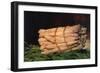 Asparagus-Edouard Manet-Framed Art Print