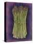 Asparagus-Jennifer Goldberger-Stretched Canvas