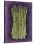 Asparagus-Jennifer Goldberger-Stretched Canvas