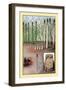 Asparagus-null-Framed Art Print