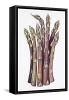 Asparagus-Deborah Kopka-Framed Stretched Canvas