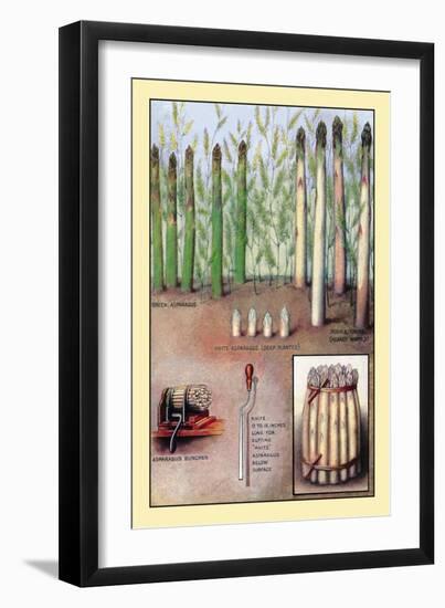 Asparagus-null-Framed Art Print