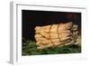 Asparagus-Edouard Manet-Framed Premium Giclee Print