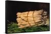 Asparagus-Edouard Manet-Framed Stretched Canvas