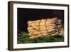 Asparagus-Edouard Manet-Framed Art Print