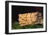 Asparagus-Edouard Manet-Framed Art Print