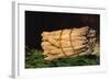 Asparagus-Edouard Manet-Framed Art Print