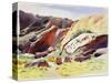 Aspects of Uluru (Ayers Rock), Australia-Robert Tyndall-Stretched Canvas