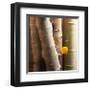 Aspen 1-Glen and Gayle Wans-Framed Giclee Print