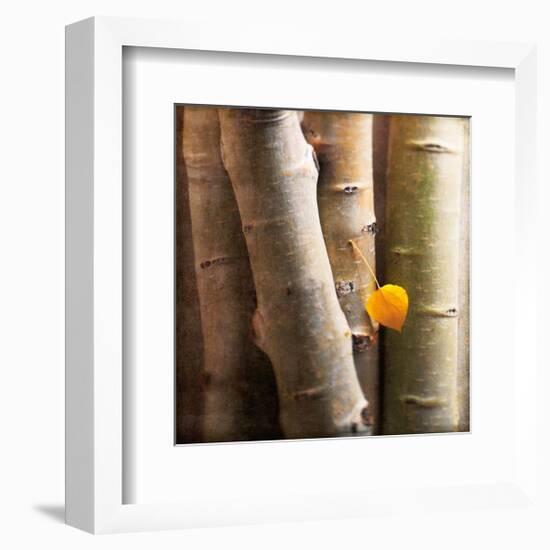 Aspen 1-Glen and Gayle Wans-Framed Giclee Print