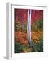 Aspen 1-Robert Hansen-Framed Giclee Print