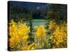 Aspen above Pear Lake in Autumn, Boulder Mountain, Dixie National Forest, Utah, USA-Scott T. Smith-Stretched Canvas