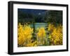 Aspen above Pear Lake in Autumn, Boulder Mountain, Dixie National Forest, Utah, USA-Scott T. Smith-Framed Photographic Print