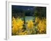 Aspen above Pear Lake in Autumn, Boulder Mountain, Dixie National Forest, Utah, USA-Scott T. Smith-Framed Photographic Print