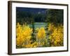 Aspen above Pear Lake in Autumn, Boulder Mountain, Dixie National Forest, Utah, USA-Scott T. Smith-Framed Photographic Print