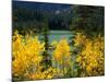 Aspen above Pear Lake in Autumn, Boulder Mountain, Dixie National Forest, Utah, USA-Scott T. Smith-Mounted Photographic Print