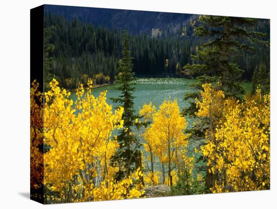 Aspen above Pear Lake in Autumn, Boulder Mountain, Dixie National Forest, Utah, USA-Scott T. Smith-Stretched Canvas