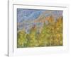 Aspen and Conifer Forest-Don Paulson-Framed Giclee Print