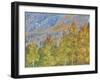 Aspen and Conifer Forest-Donald Paulson-Framed Giclee Print