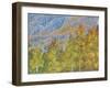 Aspen and Conifer Forest-Donald Paulson-Framed Giclee Print