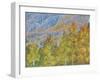 Aspen and Conifer Forest-Donald Paulson-Framed Giclee Print