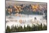 Aspen and cottonwood trees in morning mist along Snake River, Grand Teton National Park.-Adam Jones-Mounted Photographic Print