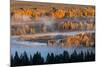 Aspen and cottonwood trees in morning mist along Snake River, Grand Teton National Park.-Adam Jones-Mounted Photographic Print