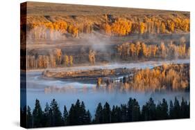 Aspen and cottonwood trees in morning mist along Snake River, Grand Teton National Park.-Adam Jones-Stretched Canvas